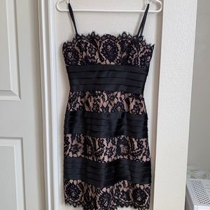BCBG lace cocktail dress